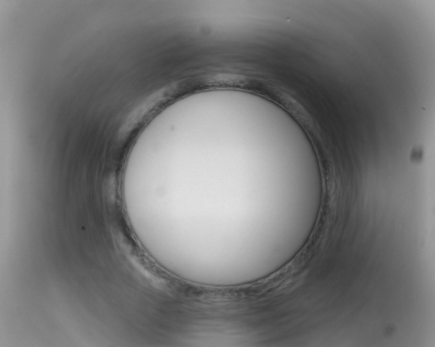 X0000114400729200910161055