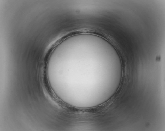 X0000114400730200910161055