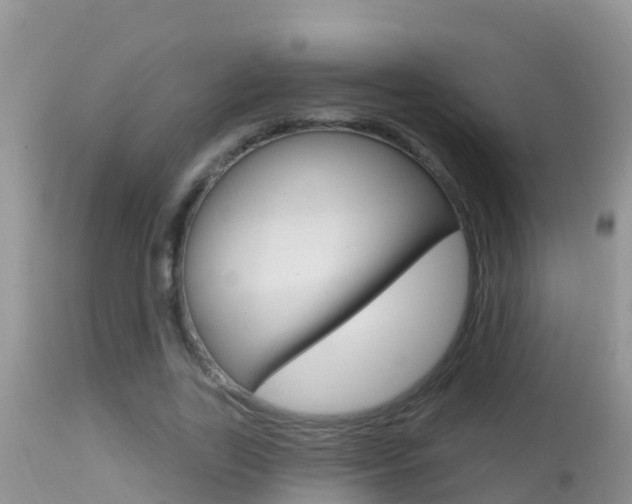 X0000114400731200910161055