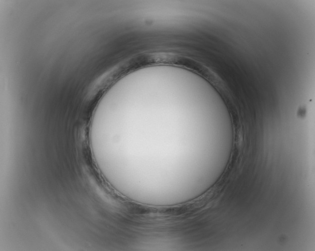 X0000114400733200910161055