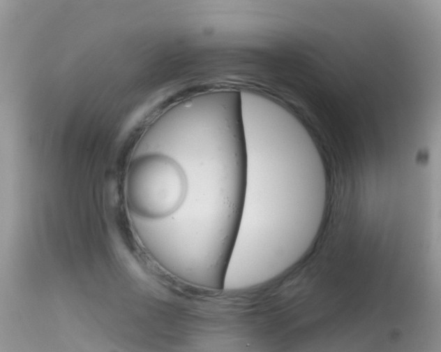 X0000114400734200910161055