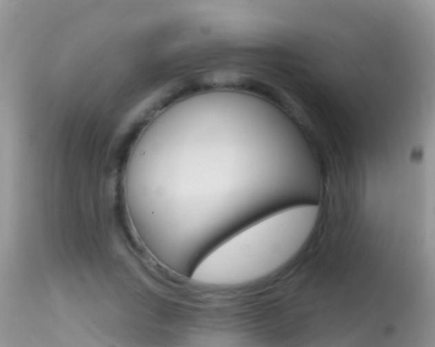 X0000114400735200910161055