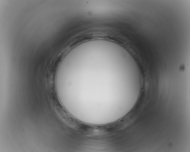 X0000114400737200910161055