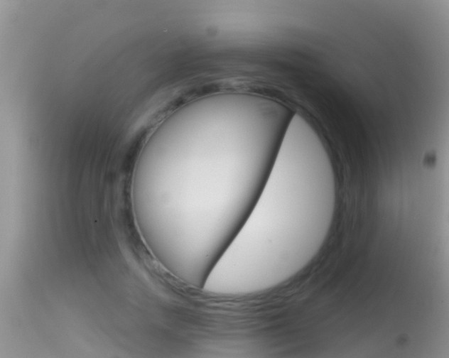 X0000114400738200910161055