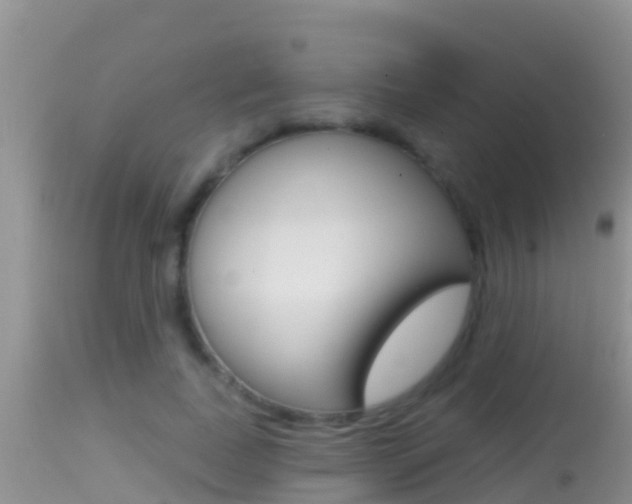 X0000114400739200910161055