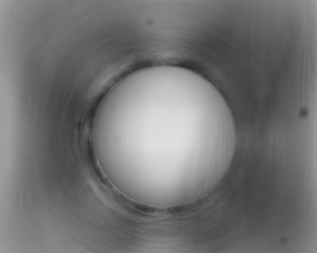 X0000114400742200910161055