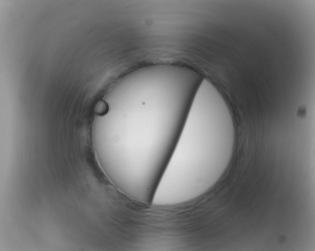 X0000114400743200910161055