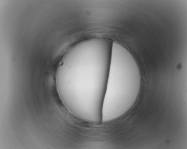 X0000114400746200910161055