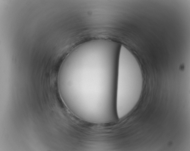 X0000114400747200910161055
