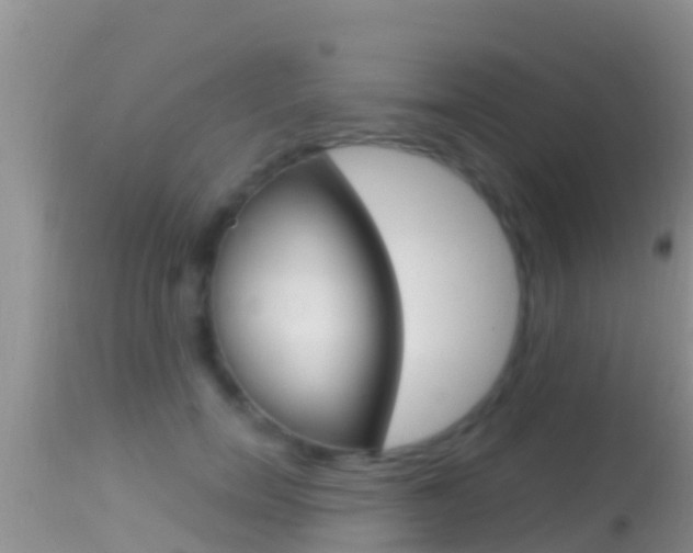 X0000114400750200910161055