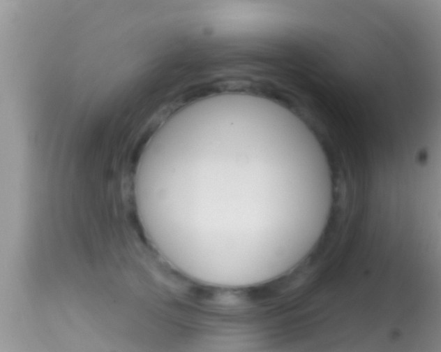 X0000114400753200910161055