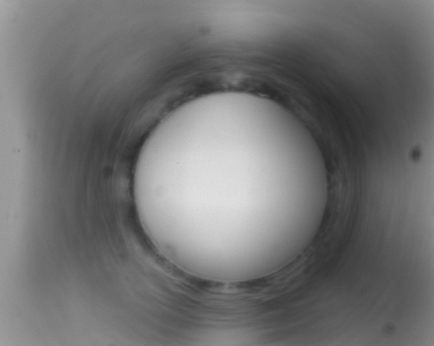 X0000114400754200910161055
