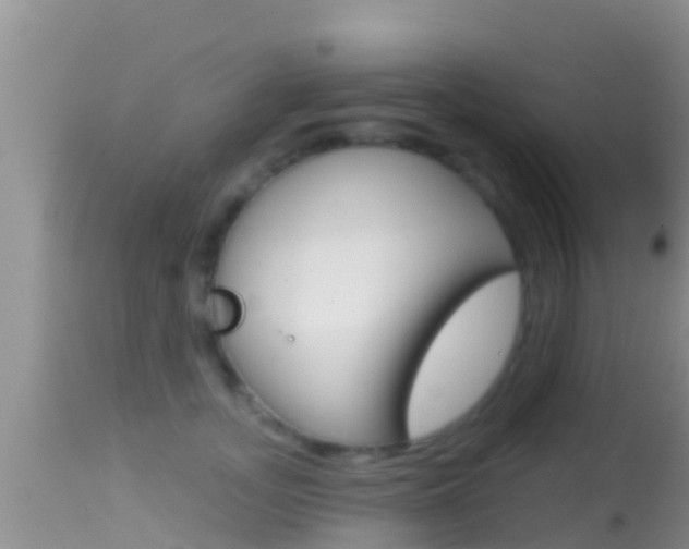 X0000114400755200910161055