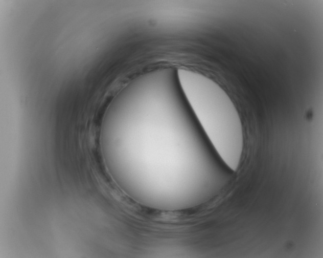 X0000114400758200910161055