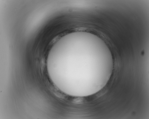 X0000114400761200910161056