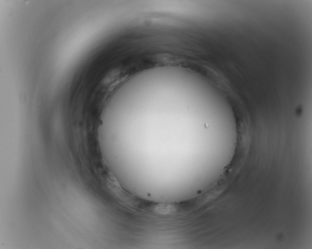 X0000114400762200910161056