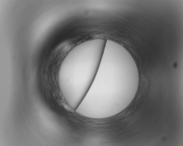 X0000114400763200910161056