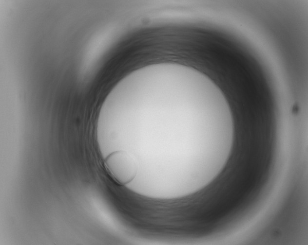 X0000114400766200910161056