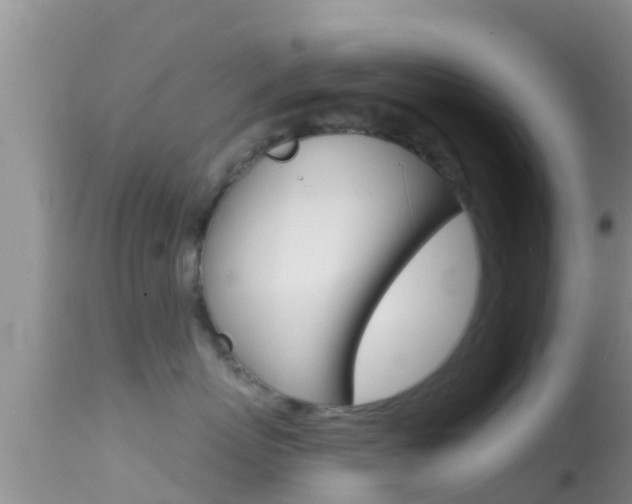X0000114400767200910161056