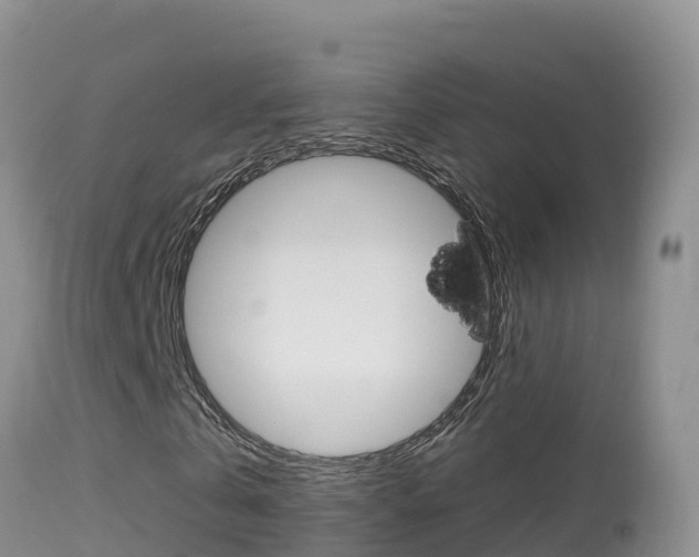 X0000114400769200910161055