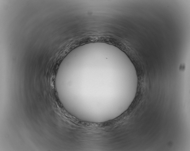 X0000114400770200910161055