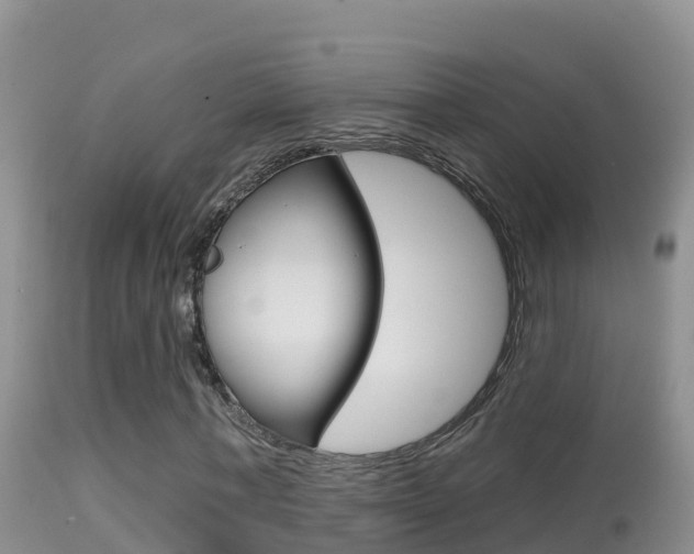 X0000114400771200910161055