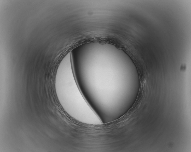 X0000114400772200910161055