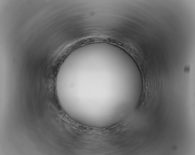 X0000114400773200910161055