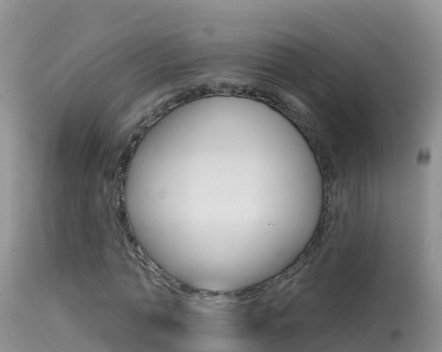 X0000114400774200910161055