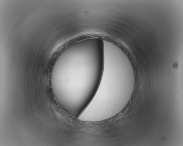 X0000114400775200910161055