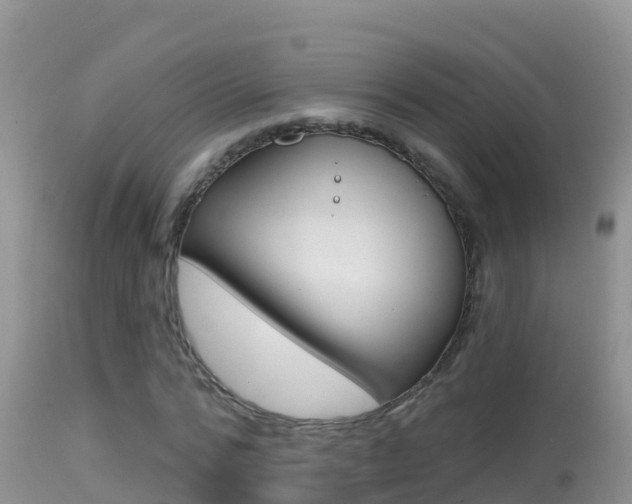 X0000114400776200910161055