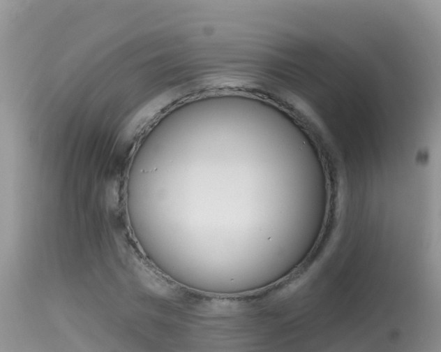 X0000114400777200910161055