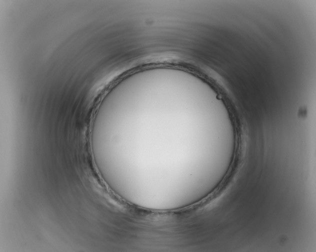 X0000114400778200910161055
