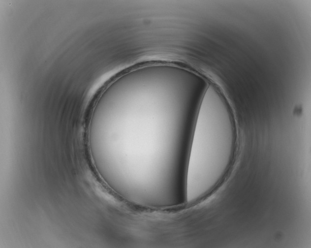 X0000114400779200910161055