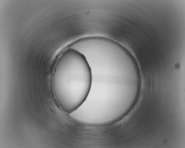 X0000114400781200910161055