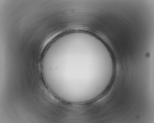 X0000114400782200910161055