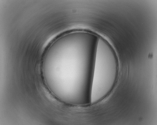 X0000114400783200910161055