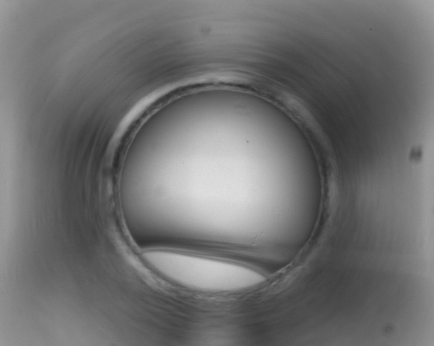 X0000114400784200910161055