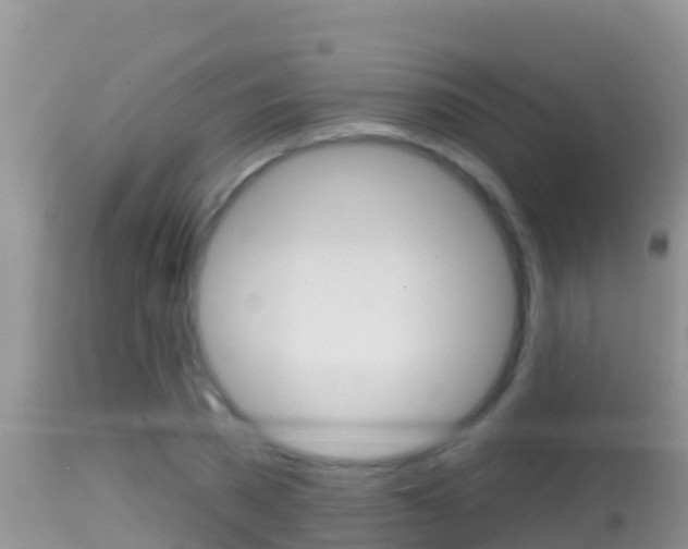 X0000114400785200910161055