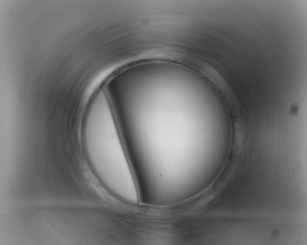 X0000114400788200910161055