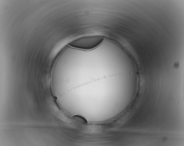 X0000114400789200910161055