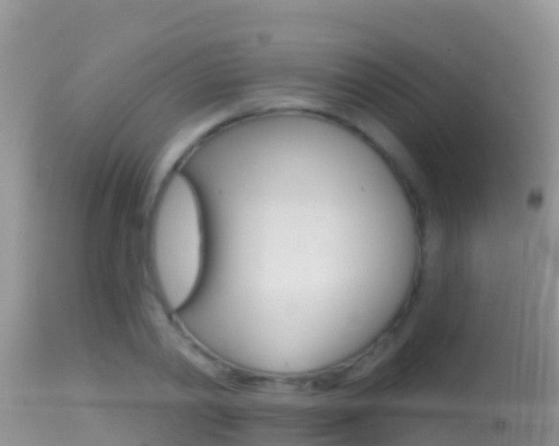 X0000114400790200910161055