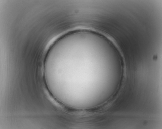 X0000114400791200910161054