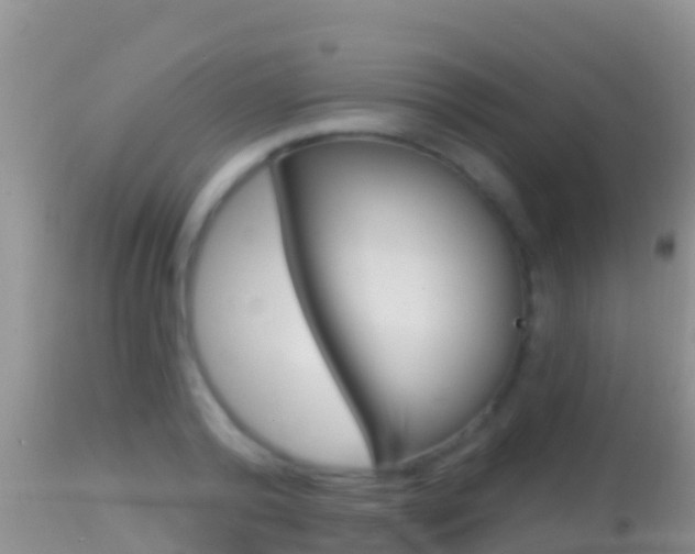 X0000114400792200910161054