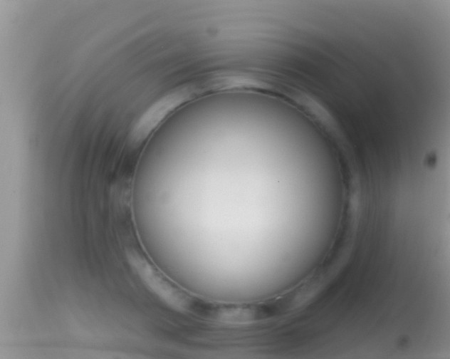 X0000114400793200910161054