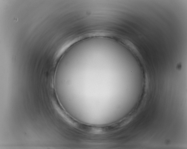 X0000114400794200910161054