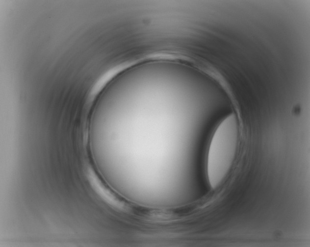 X0000114400795200910161054