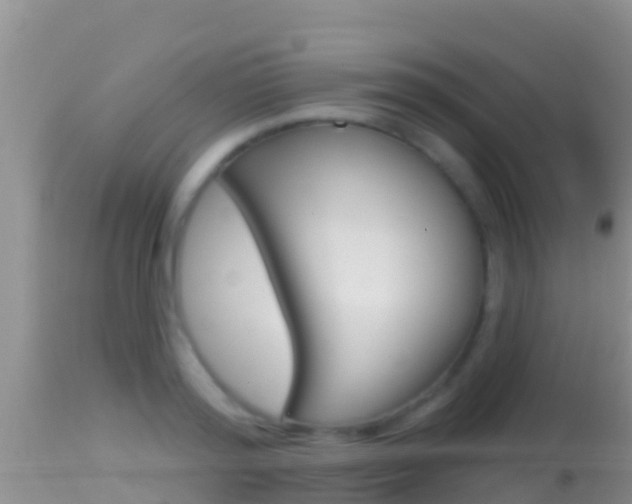 X0000114400796200910161054