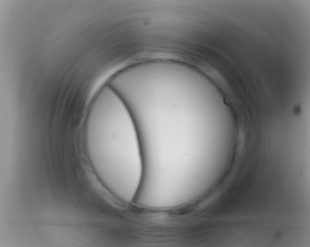 X0000114400798200910161054
