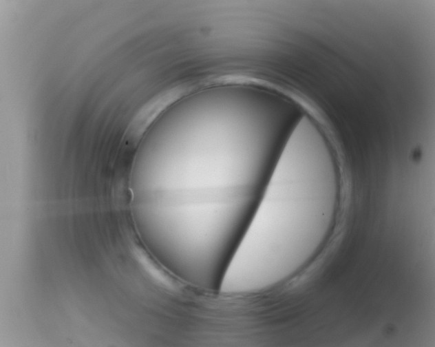 X0000114400801200910161054